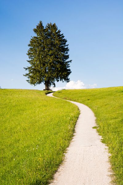 Ketamine-Assisted-Psychotherapy Ketamine-Assisted-Psychotherapy